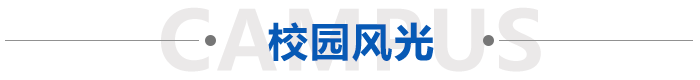 MK体育·(国际)官方网站